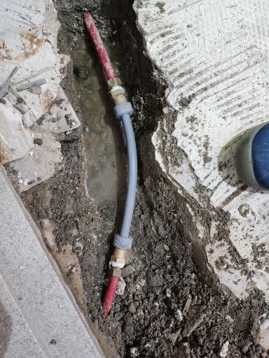 UIForge – Web App Experience Simplified